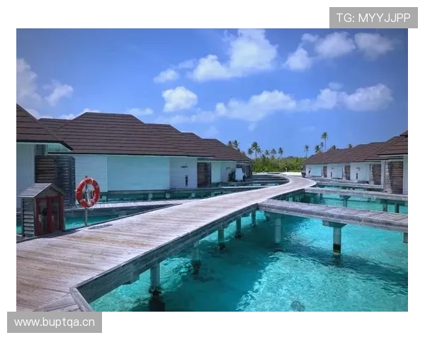 大阪刚在马尔代夫包岛度假完，转头凌晨四点蹲健身房？